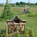 permaculture garden