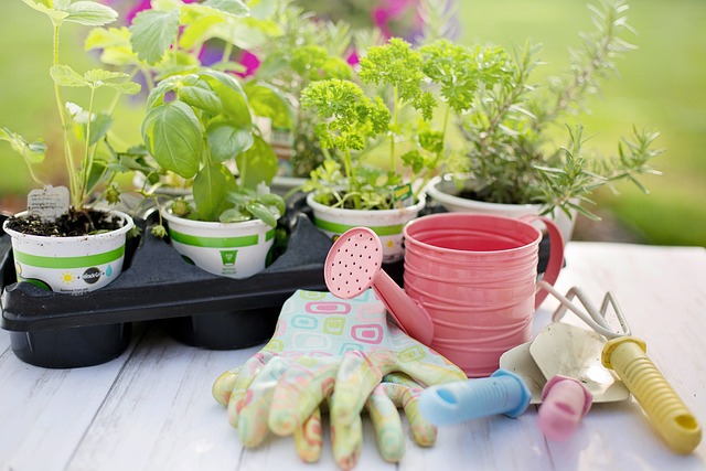 prepping for apartment gardening