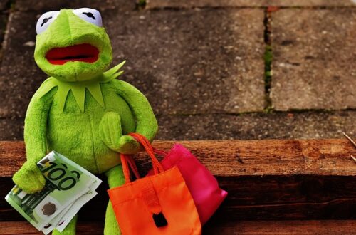 Shopping for the Environment with Kermit the Frog