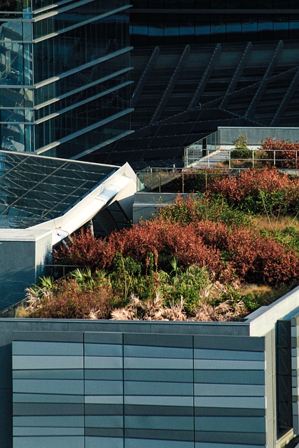 Green Roof